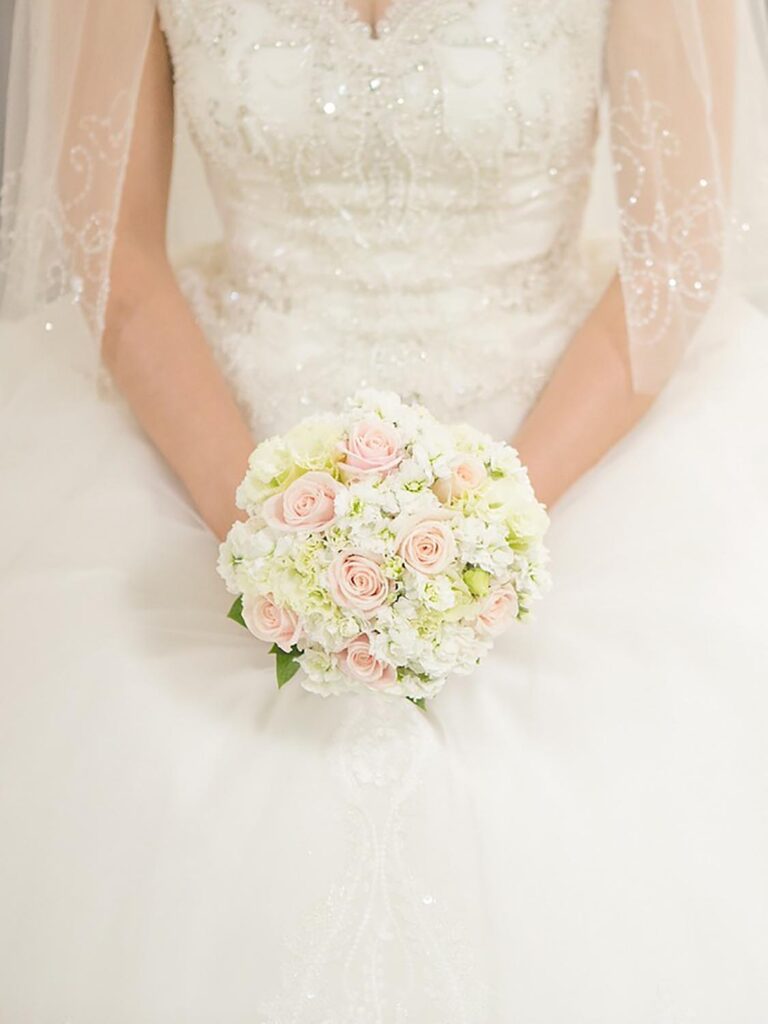 Post-Wedding Photo Shoot